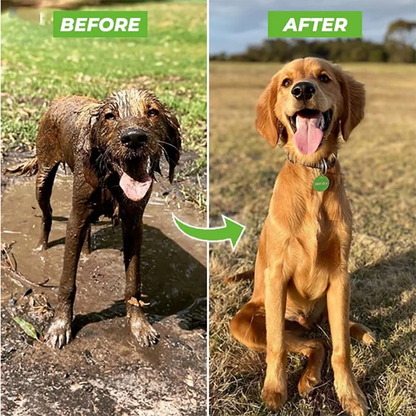 High-Pressure Hose For Dog Shower - Dog Clean Tool